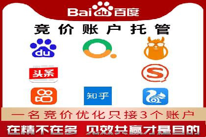 大型SEM服务公司案例分析